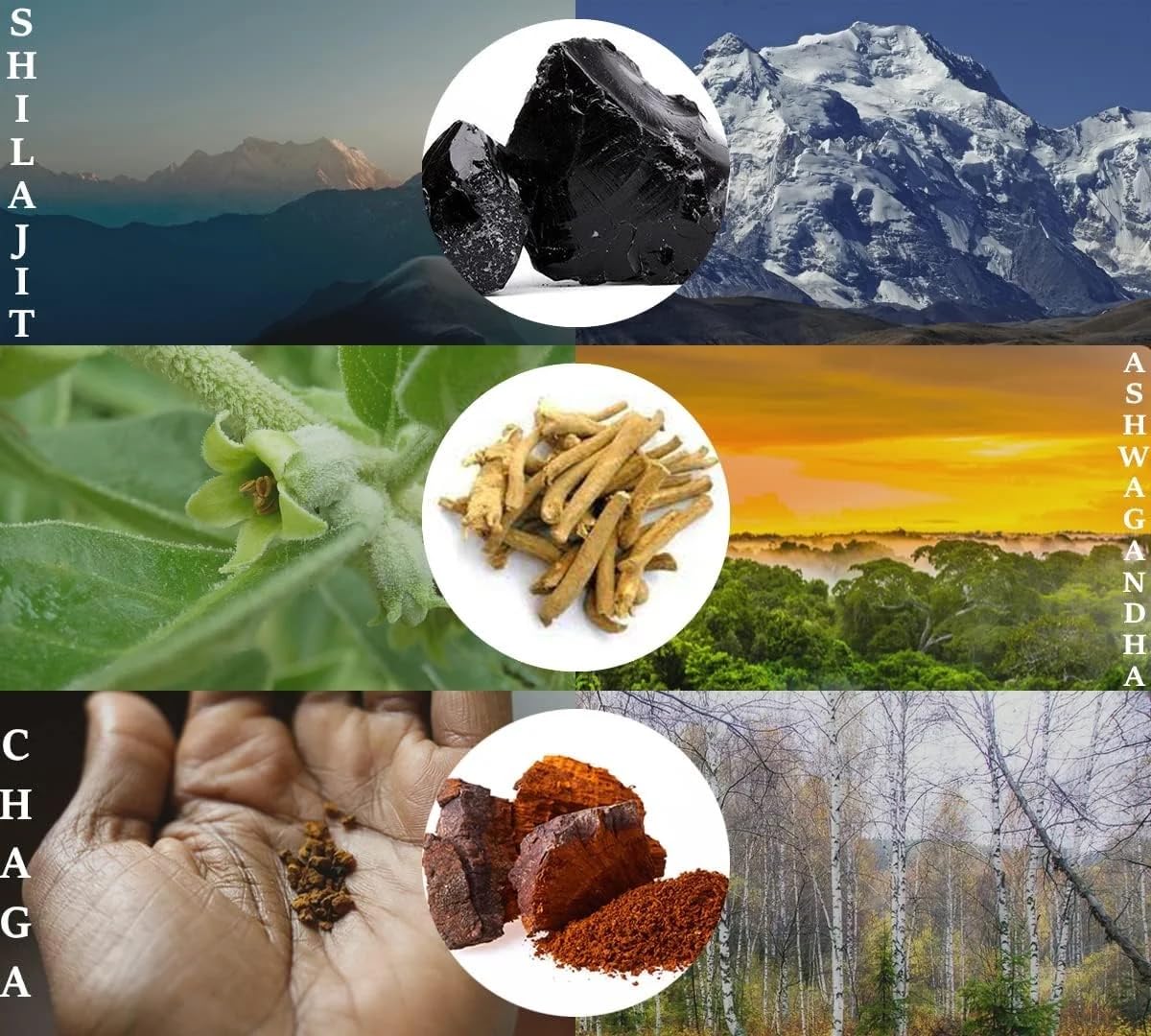 Xcelerate Health Shilajit, Ashwagandha & Chaga Mushroom Tasty Superfood Gummies