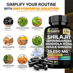 ShilaGandha Shilajit Ashwagandha Ginseng Cordyceps Turmeric Rhodiola Rosea Stinging Nettle Blend - 8 All-in-One Supplement - 2 Month Supply